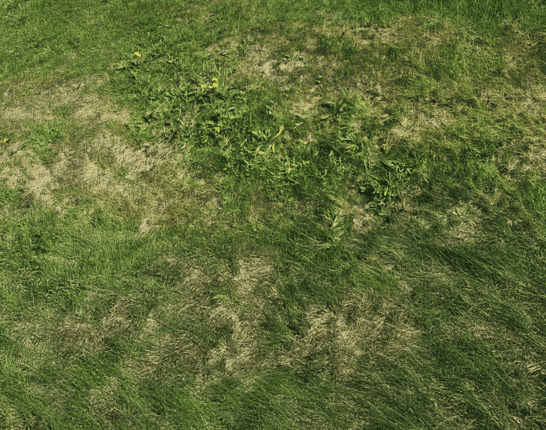 How To Fix A Patchy Lawn